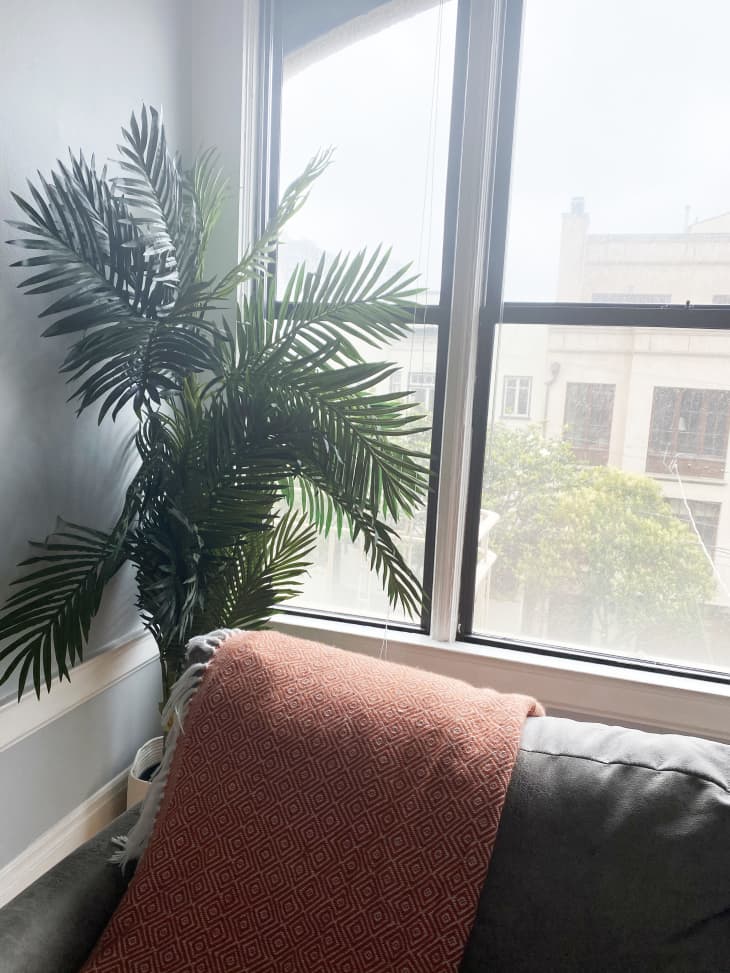 The Best Fake Plants to Add to Your Home Apartment Therapy